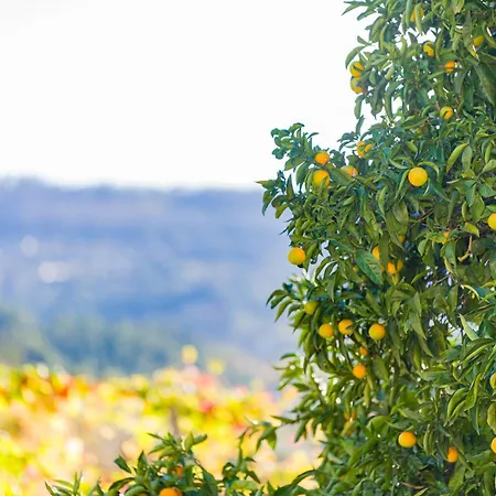 度假居 Casa Da Boavista 阿马兰特